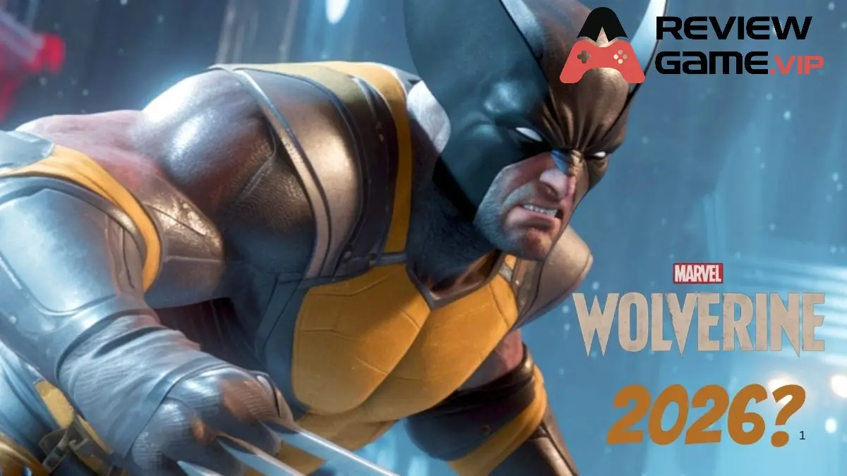 Phản Hồi Ban Đầu và Kỳ Vọng Của Cộng Đồng